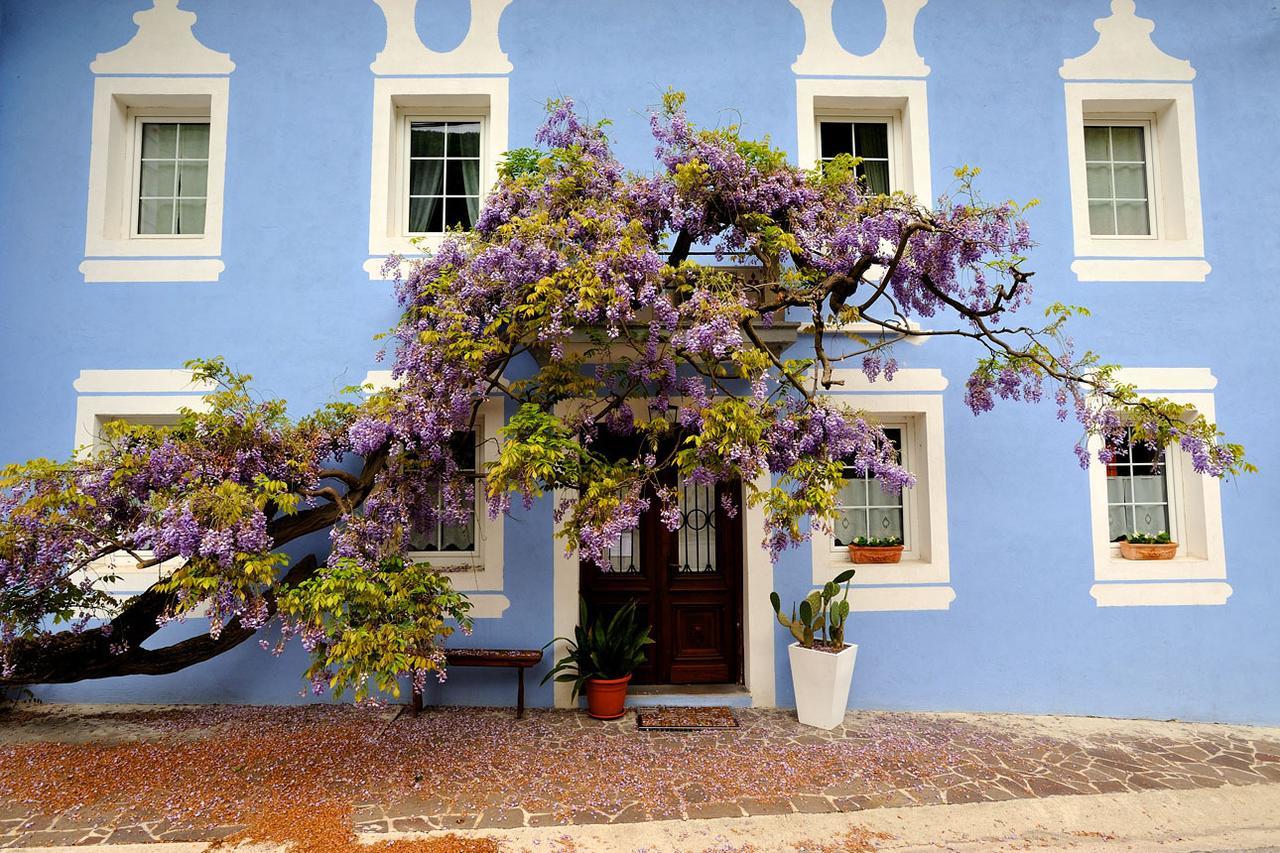 فندق The Blue House تولمين المظهر الخارجي الصورة